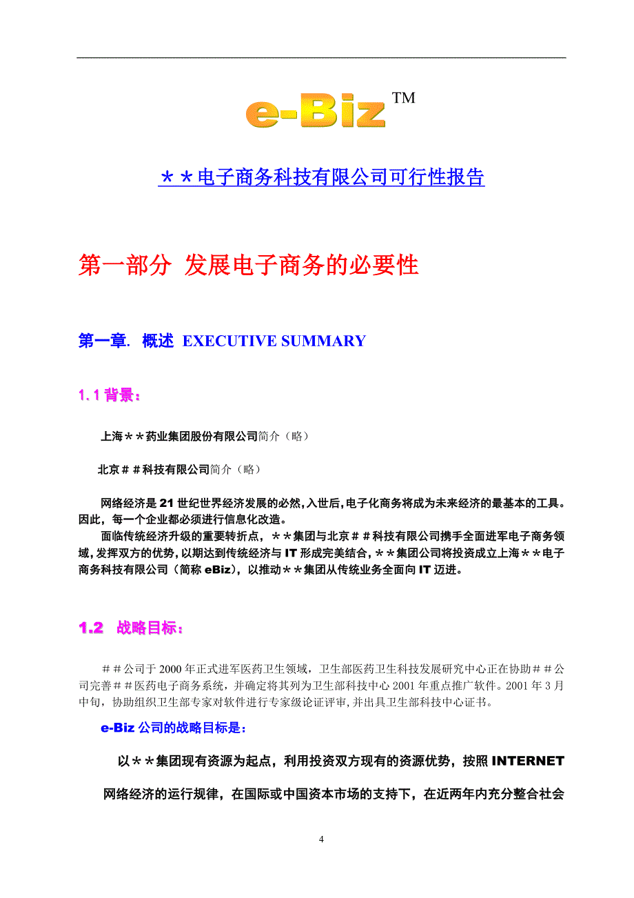 ＊＊电子商务科技有限公司可行性报告_第4页