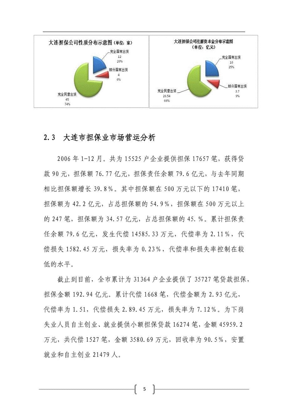 融资担保公司可行性研究报告_第5页