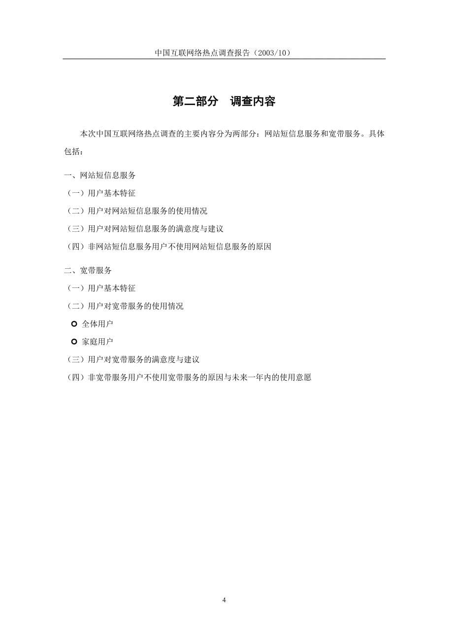 中国互联网络热点调查报告_第5页