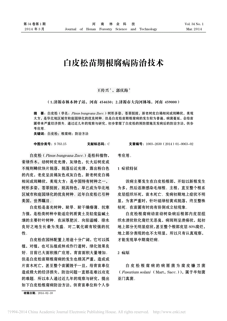 白皮松苗期根腐病防治技术_第1页