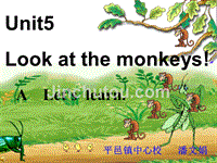 PEP 小学英语五年级下Unit 5 Look at the monkeys!课件