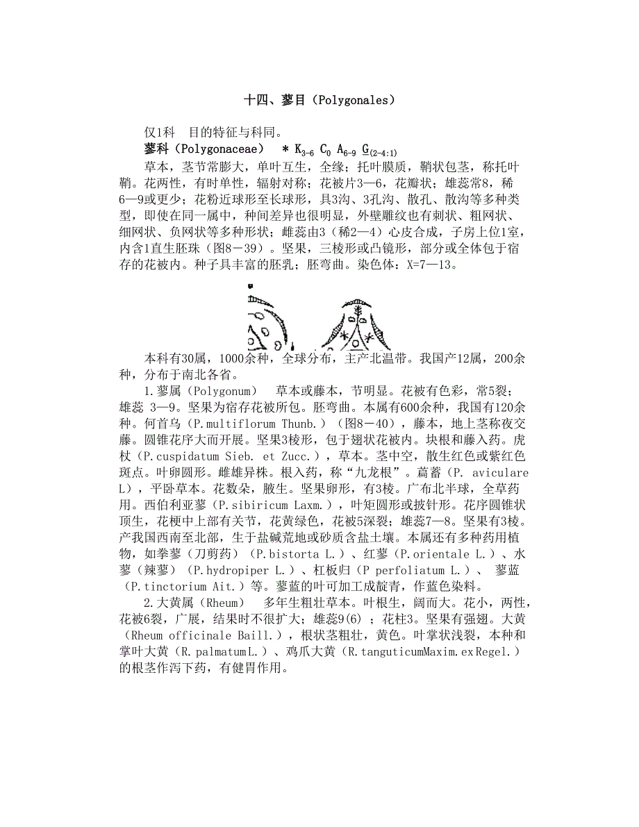 十四、蓼目（Polygonales）_第1页