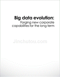 Big data evolution Forging new corporate capabilities for the long term