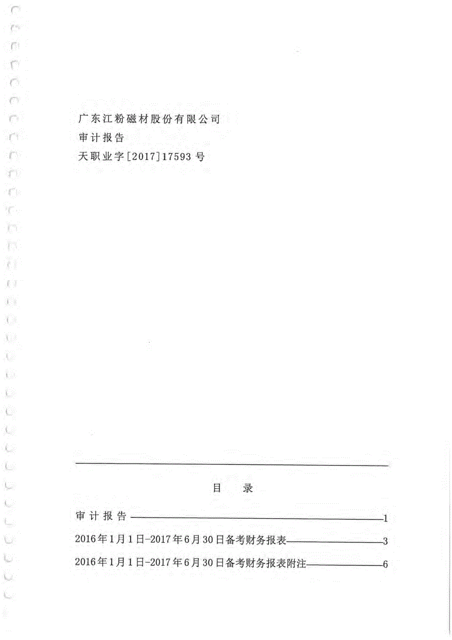 江粉磁材：审计报告_第1页