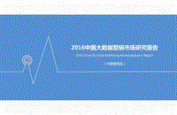 2016中国大数据营销市场研究报告