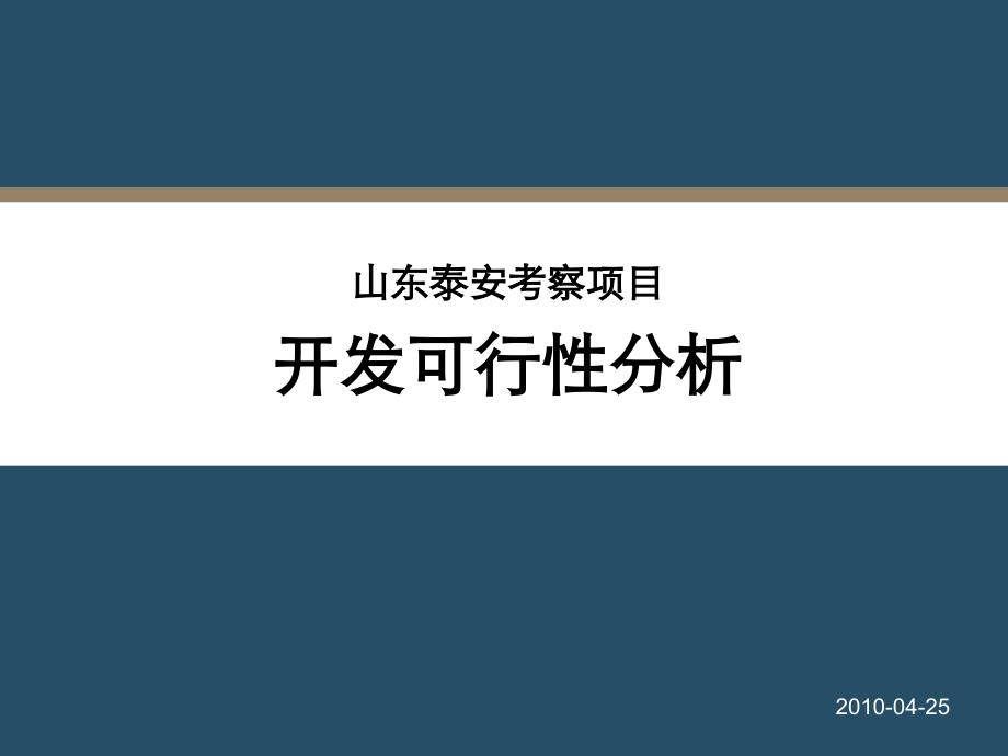 山东泰安考察项目开发可行性分析_第1页