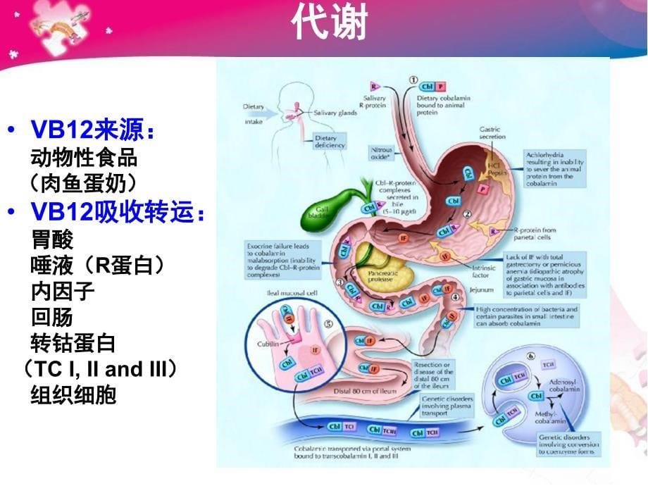 维生素B12缺乏与神经系统疾病_第5页