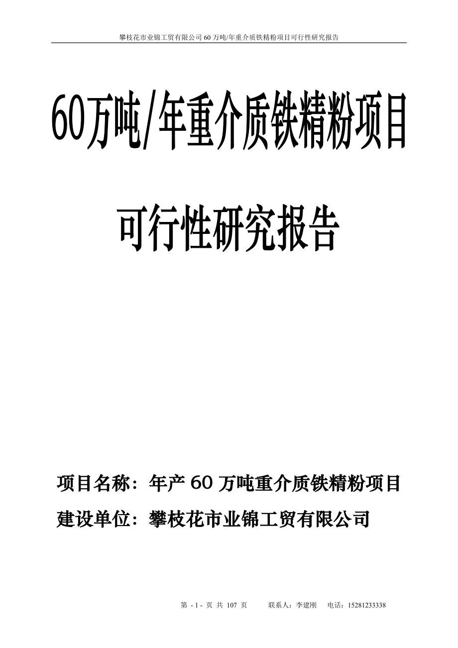 60万吨年重介质铁精粉项目可行性研究报告_第1页