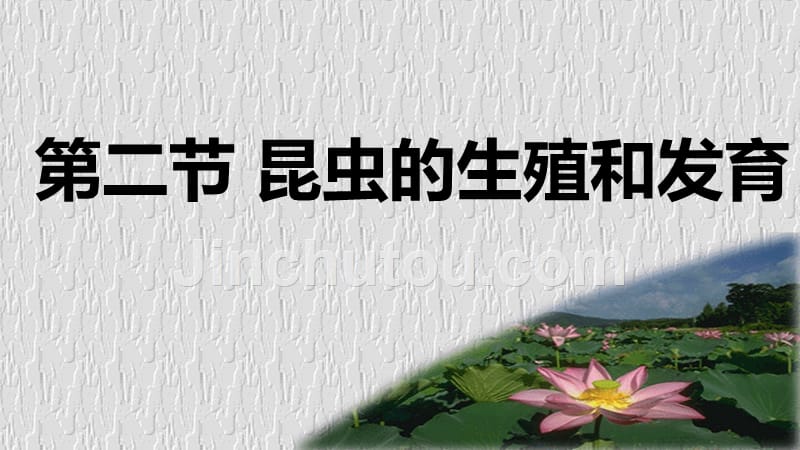 人教版八年级生物第二节《昆虫的生殖和发育》课件_第1页