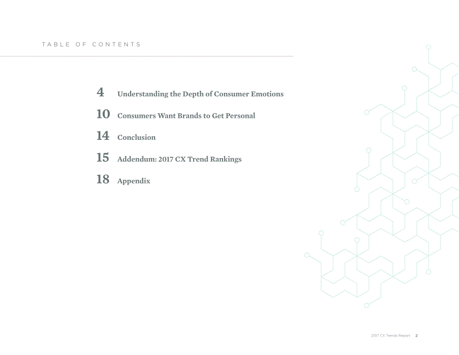 极的品牌体验与消费者的情感调查报告_第2页