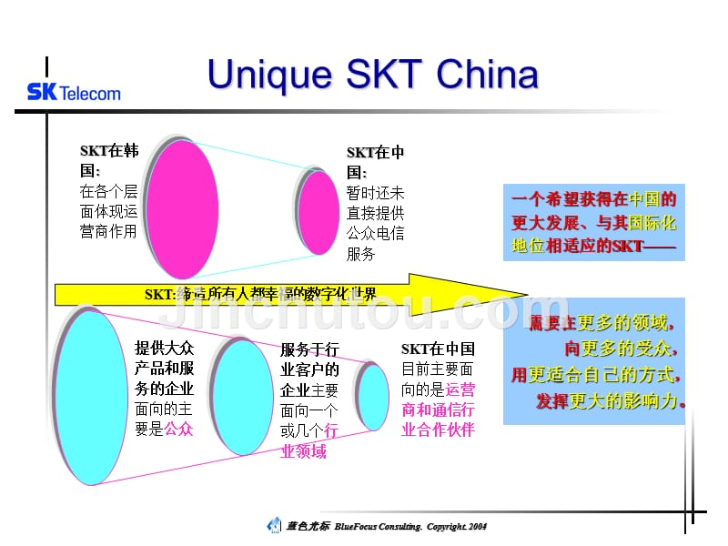 SKT品牌推广策略建议方案-蓝色光标_第3页