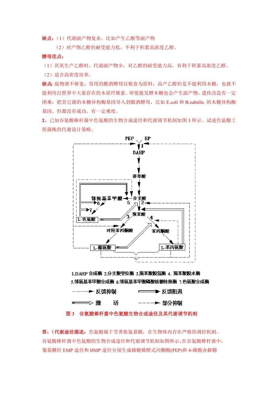 代谢工程—周奕腾改+试卷_第5页