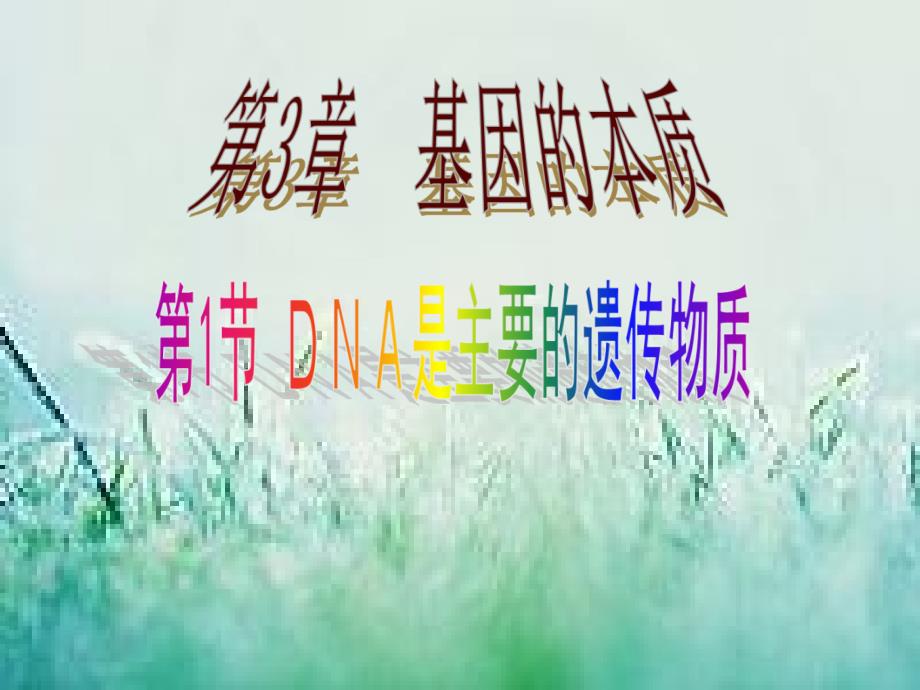 人教版高中生物必修2第1节《DNA是主要的遗传物质》课件_第4页