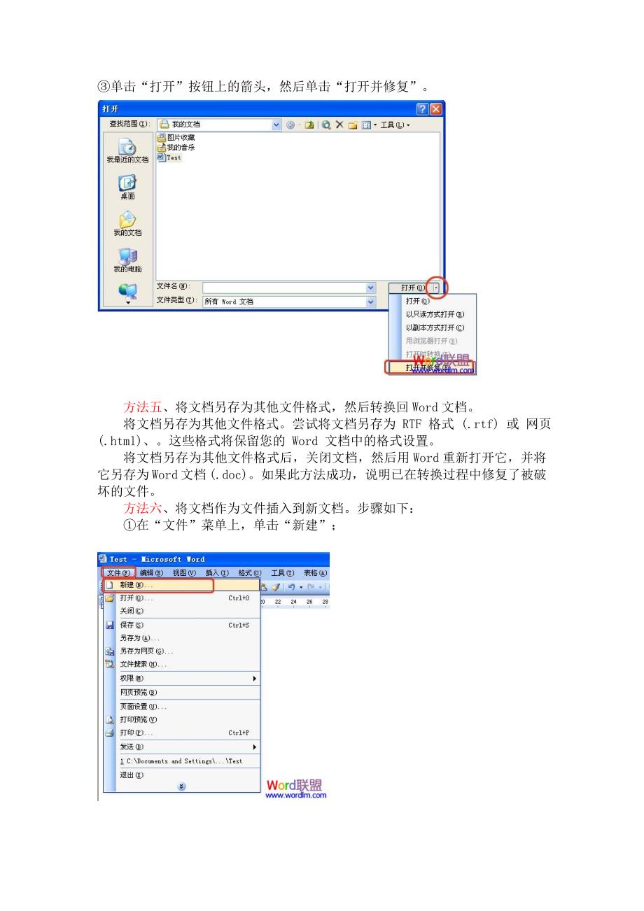 修复Word文档损坏的十大技巧_第4页