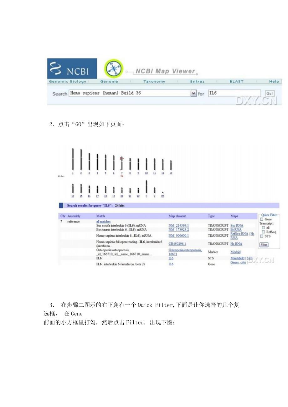 一步一步教你使用NCBI查找DNA、mRNA、cDNA_第2页