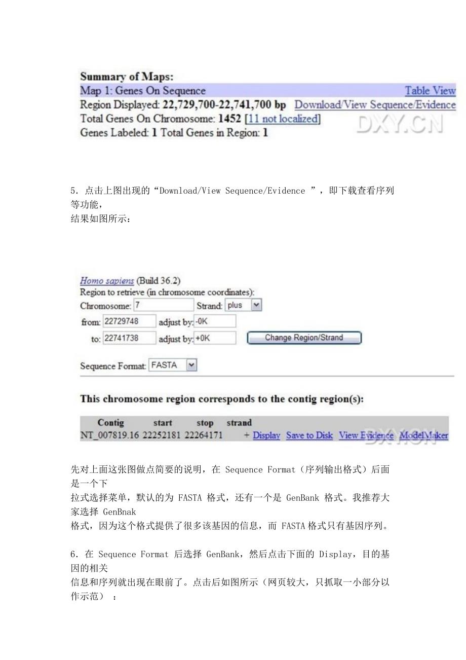 一步一步教你使用NCBI查找DNA、mRNA、cDNA_第4页