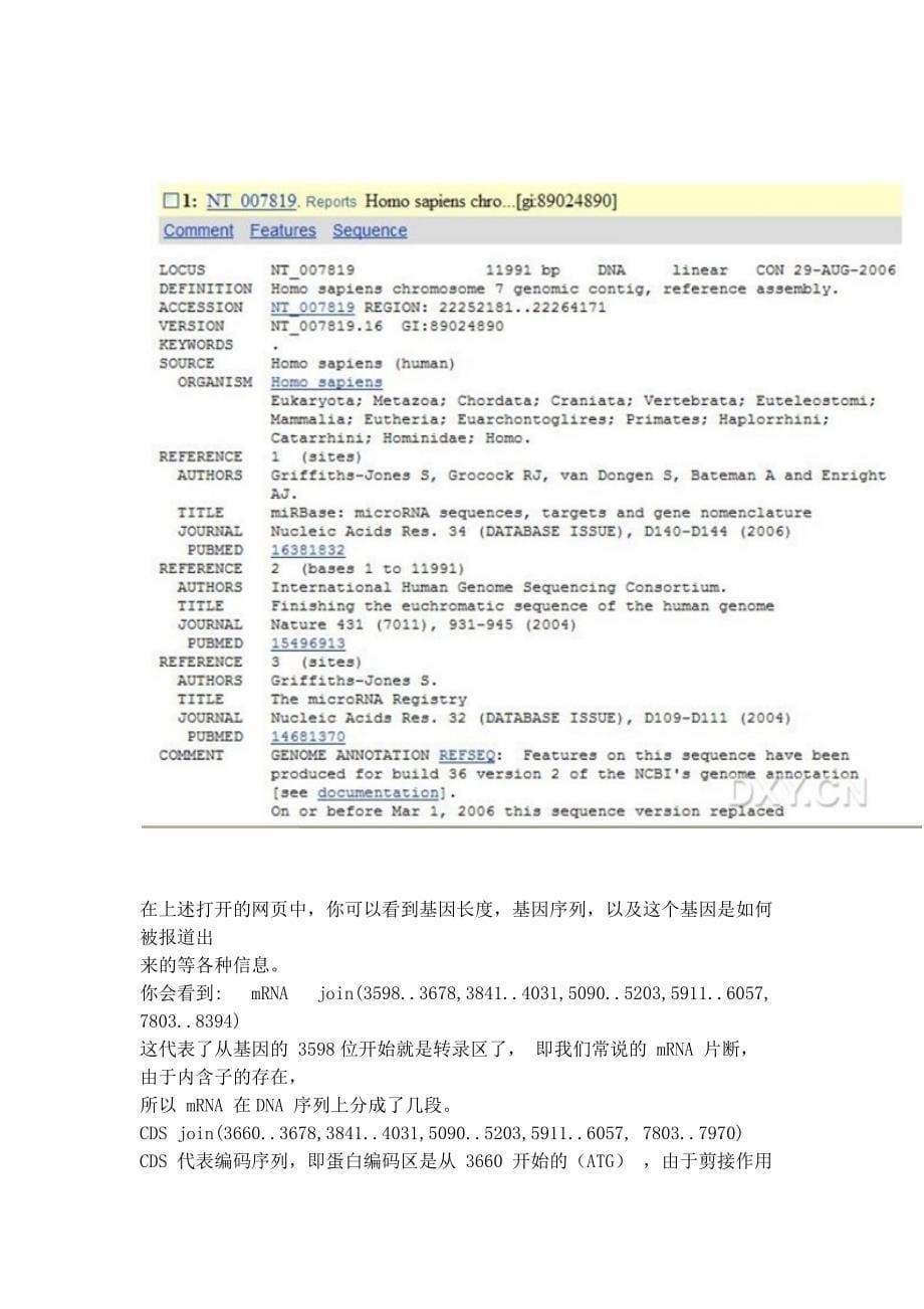 一步一步教你使用NCBI查找DNA、mRNA、cDNA_第5页