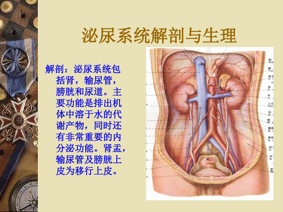 [医学保健]泌尿系统结石_第3页