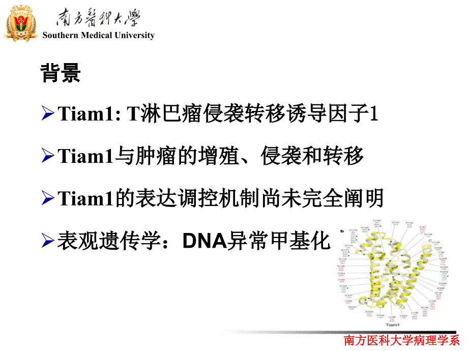 [医学保健]结直肠癌Tiam1高表达与其启动子低甲基化相关_第3页