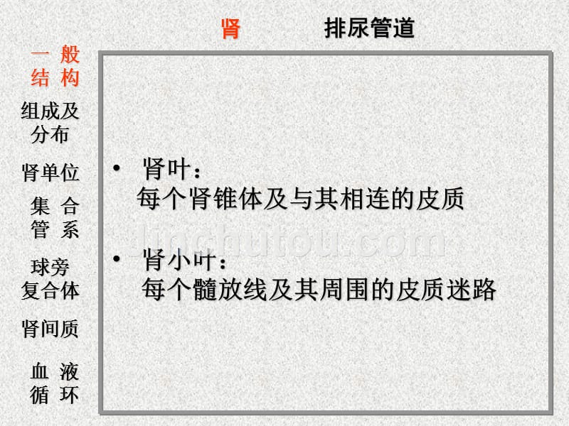 [医学保健]泌尿系统_10586_第5页