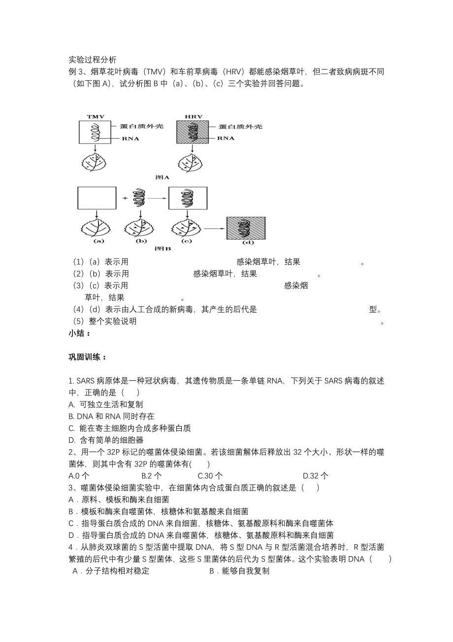 核酸是遗传物质的证据教案_第5页