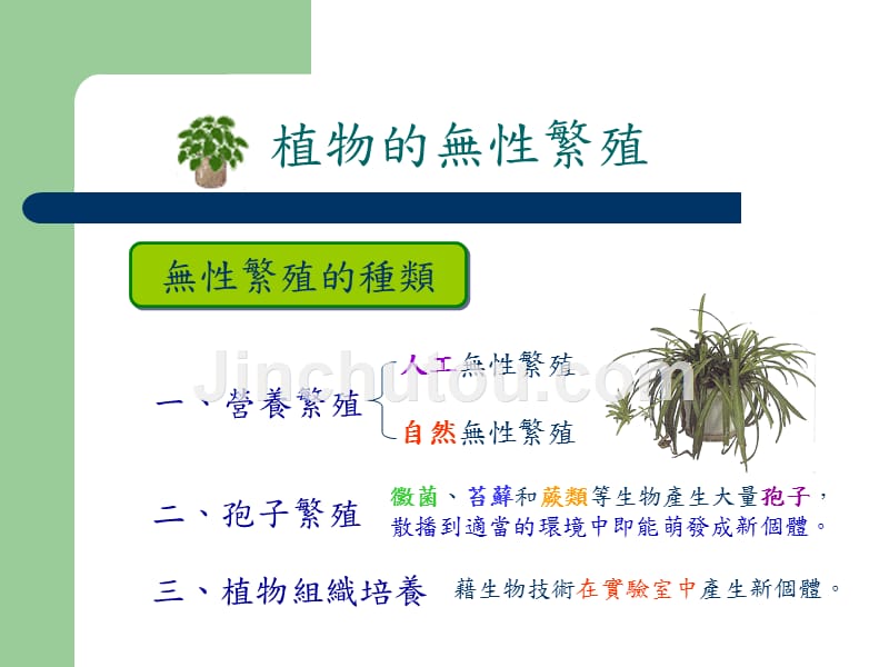 [医学保健]植物的無性生殖_第3页