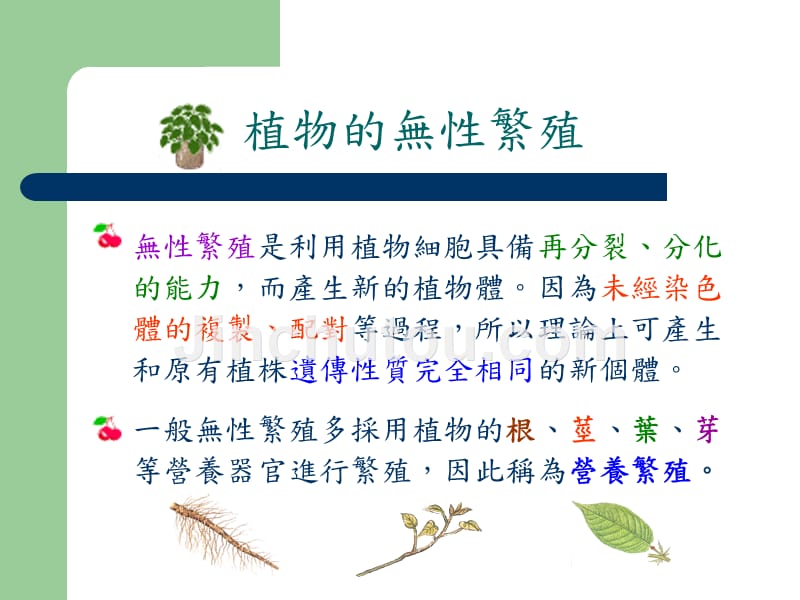 [医学保健]植物的無性生殖_第4页