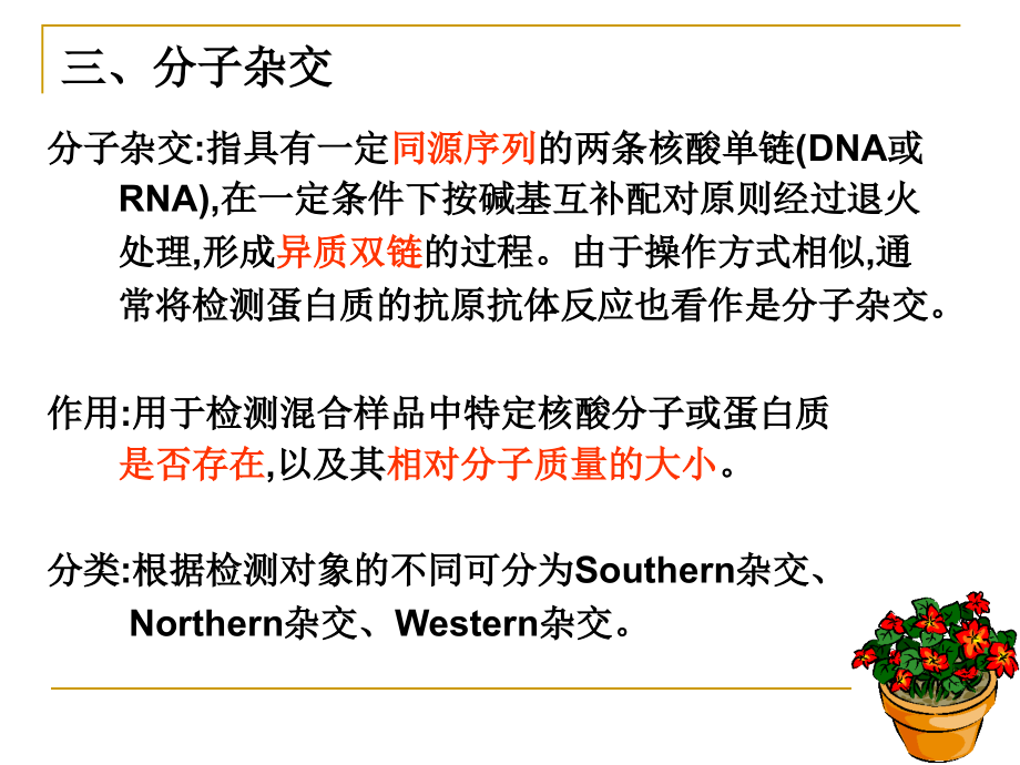 [医学保健]基因操作中大分子的分离和分析_第3页