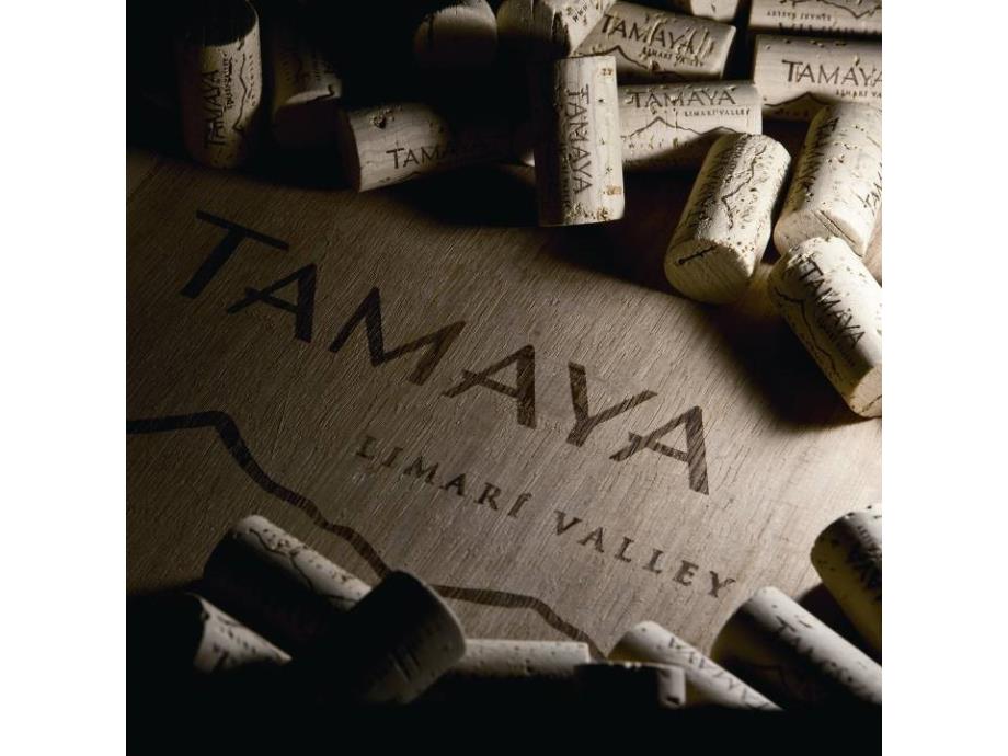 TAMAYA大玛雅品牌分享手册_第3页