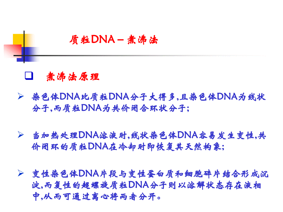 [医学保健]质粒DNA的分离、纯化_第2页