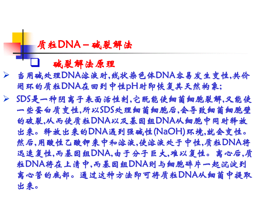[医学保健]质粒DNA的分离、纯化_第3页