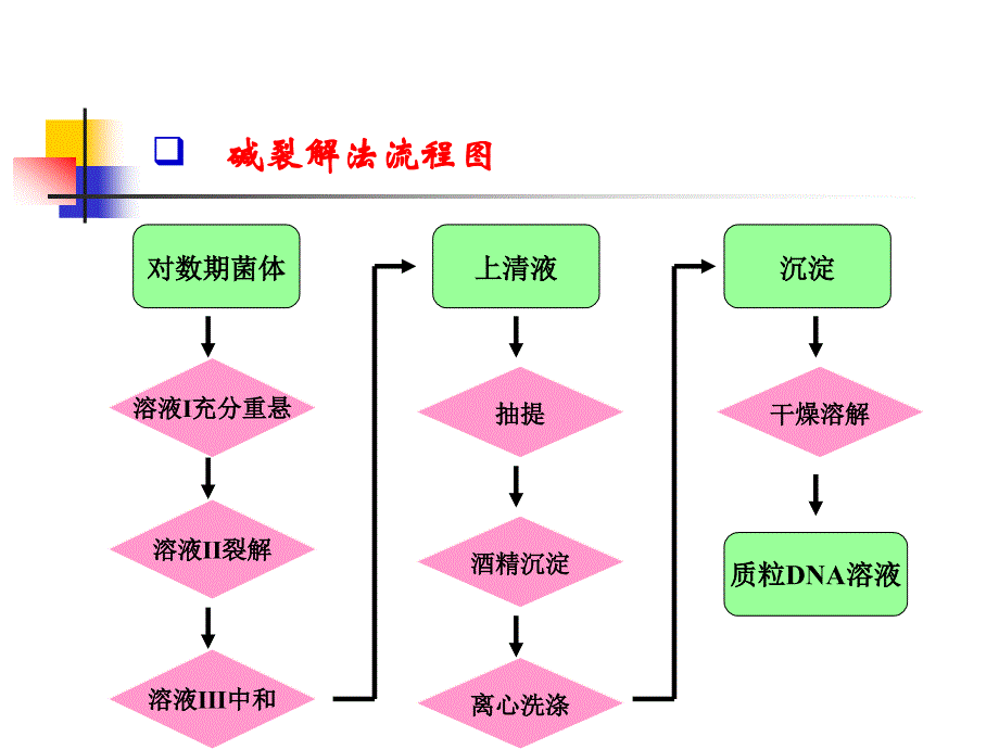 [医学保健]质粒DNA的分离、纯化_第4页