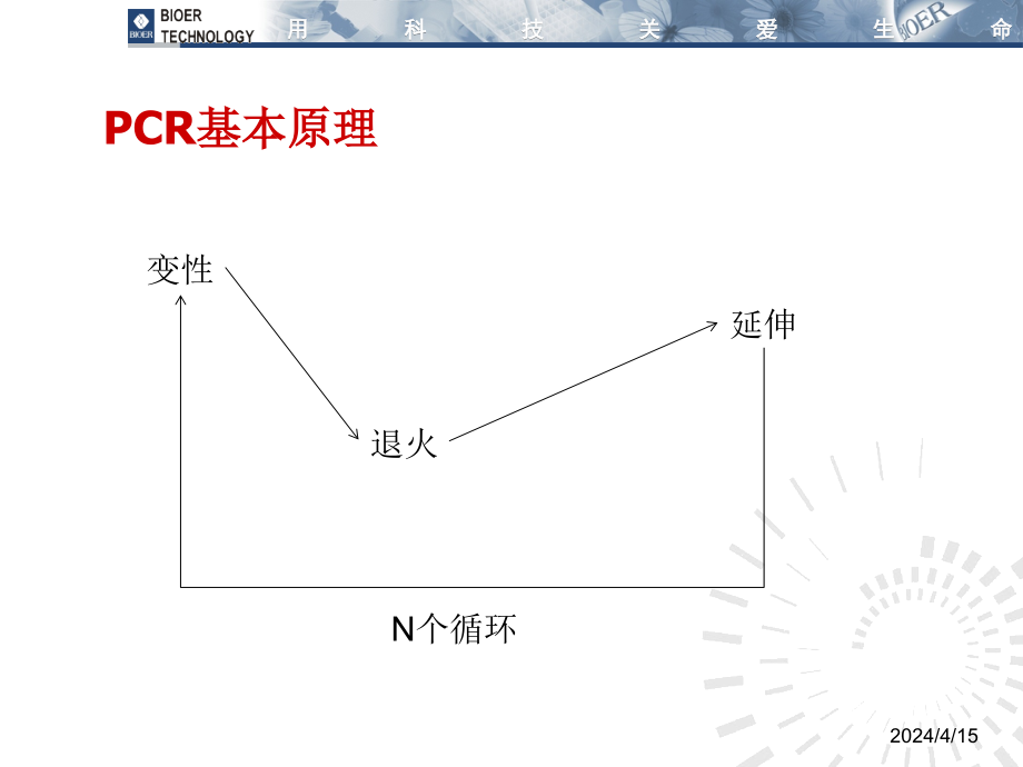 PCR,不只是温度循环_第2页