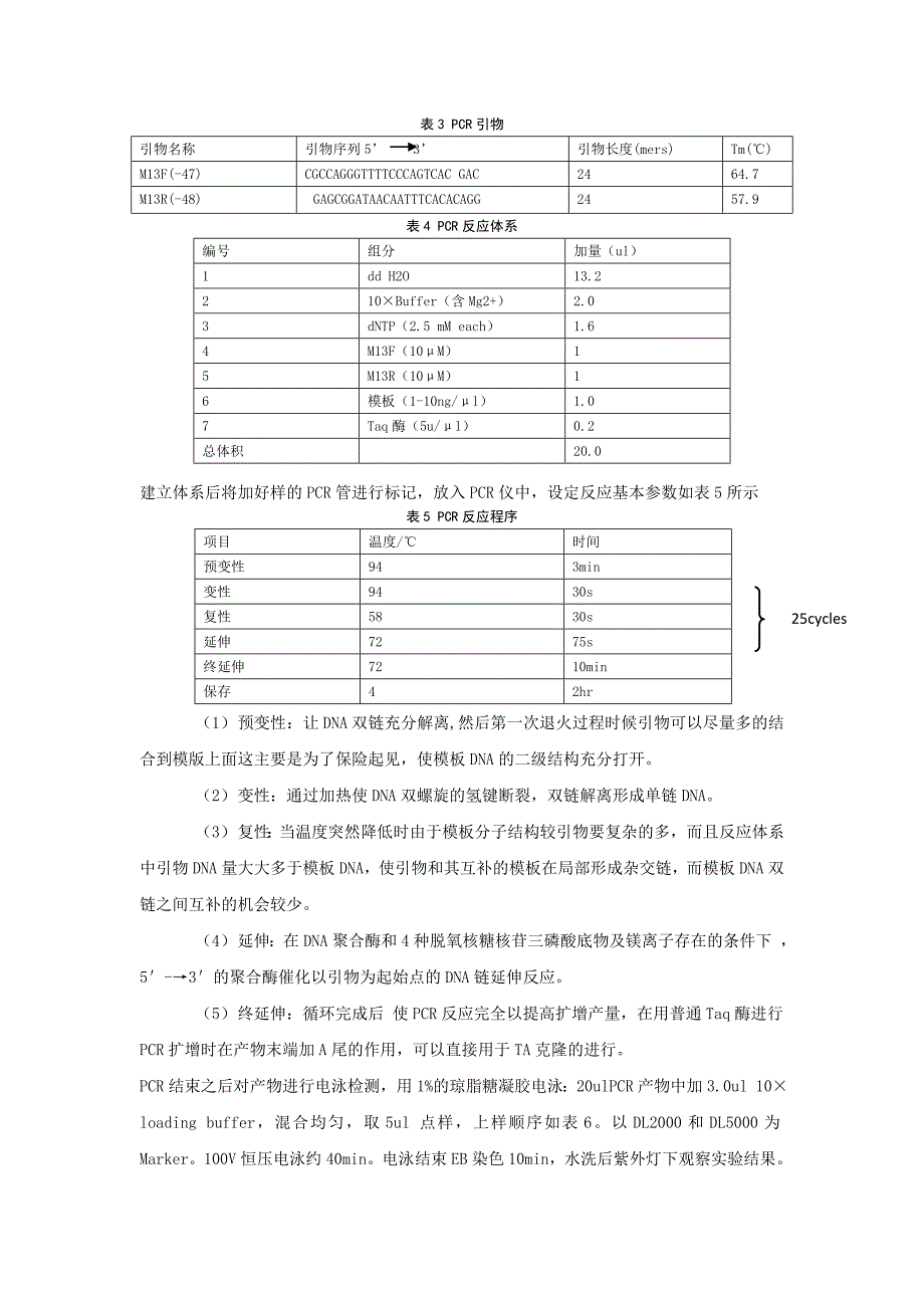 重组质粒的酶切鉴定及PCR实验1_第3页