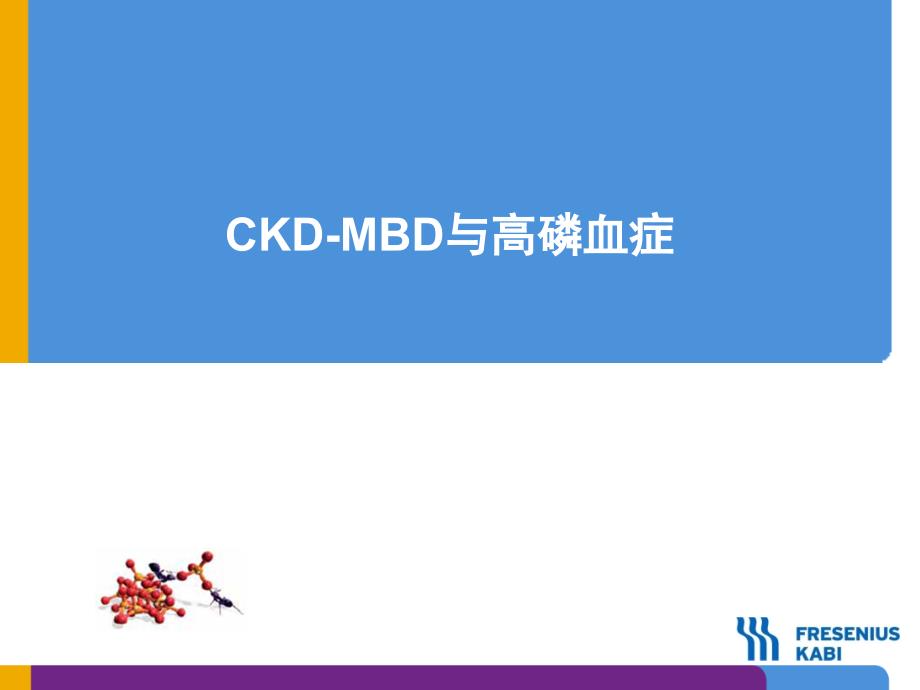 CKD-MBD与新型磷结合剂专题讲座PPT_第3页