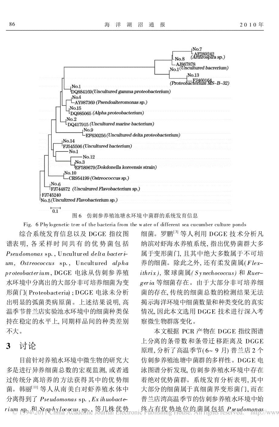 应用PCR-DGGE 指纹技术分析高温季节仿刺参养殖水环境中菌群多样性_第5页