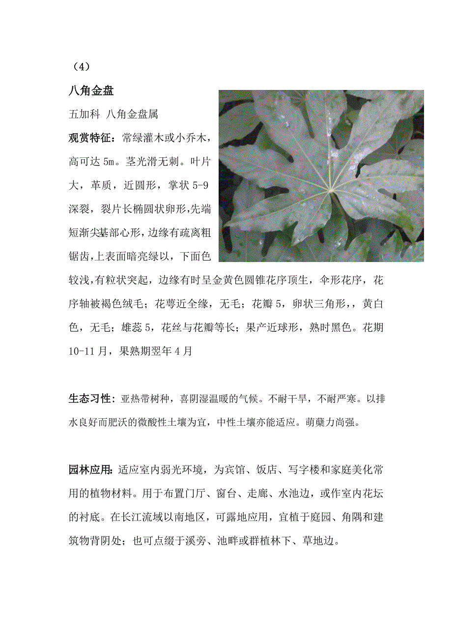 部分园林常见观赏植物_第4页