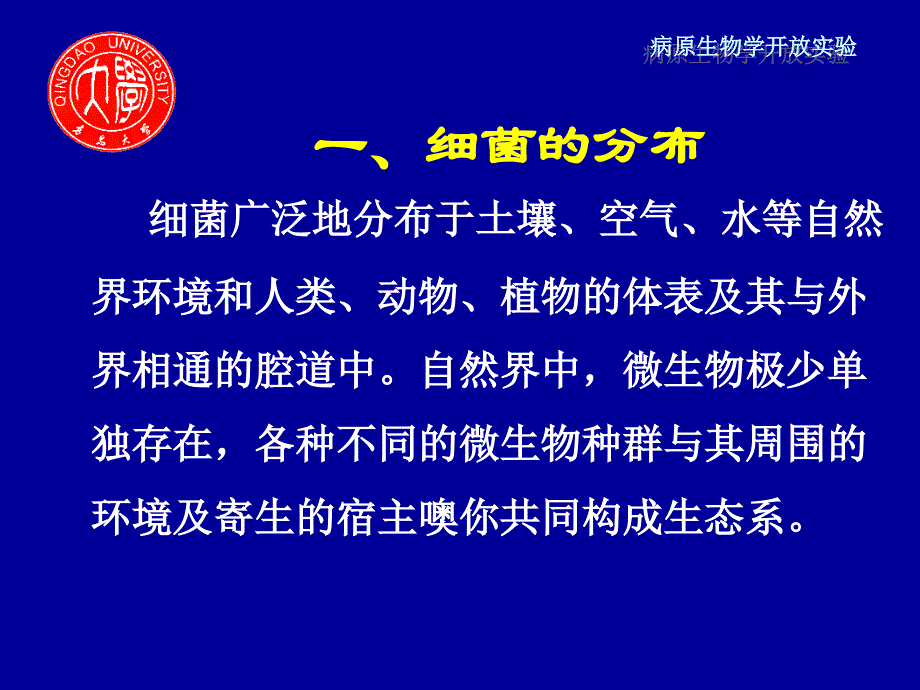 [医疗保健]细菌的分布及其分离鉴定_第4页