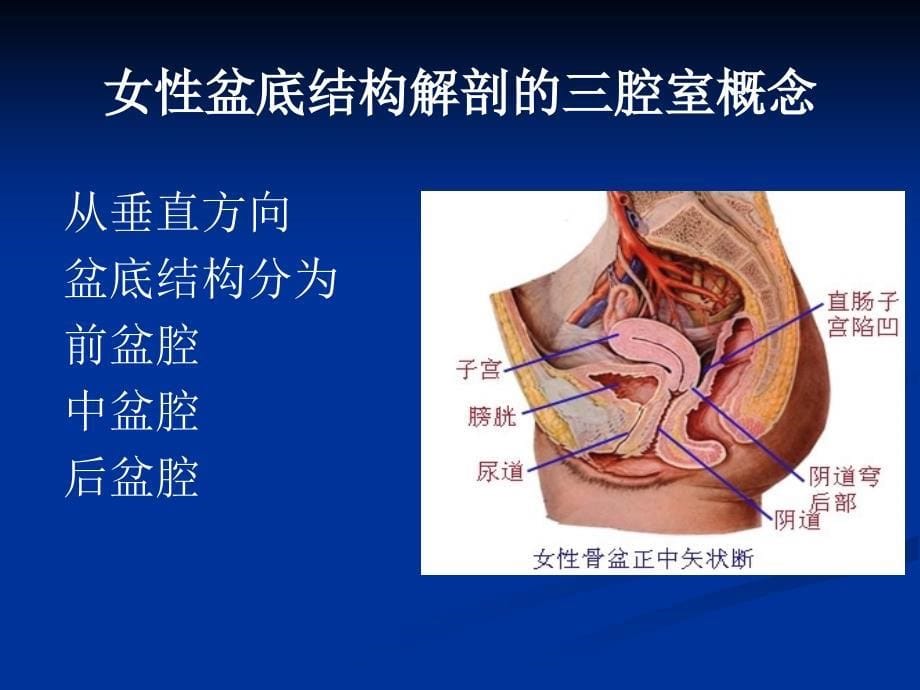 [医疗保健]盆底重建手术的并发症及防治_第5页