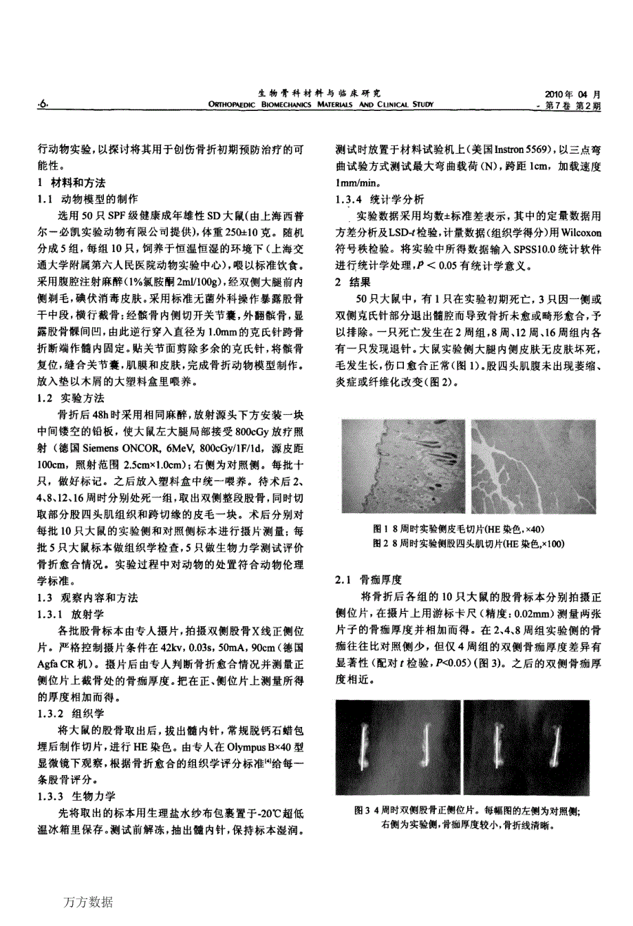 异位骨化预防性放疗对骨折愈合影响的实验研究_第2页