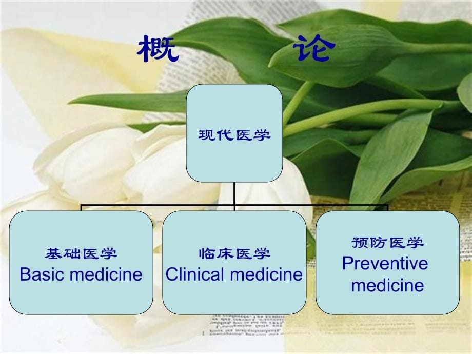 [医疗保健]预  防  医  学_第5页