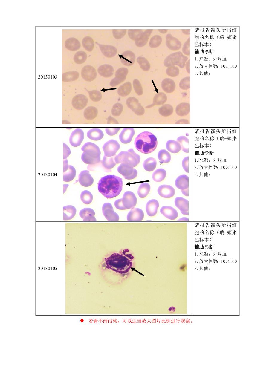 AHCCL临床血细胞形态学考核EQA计划书_第2页