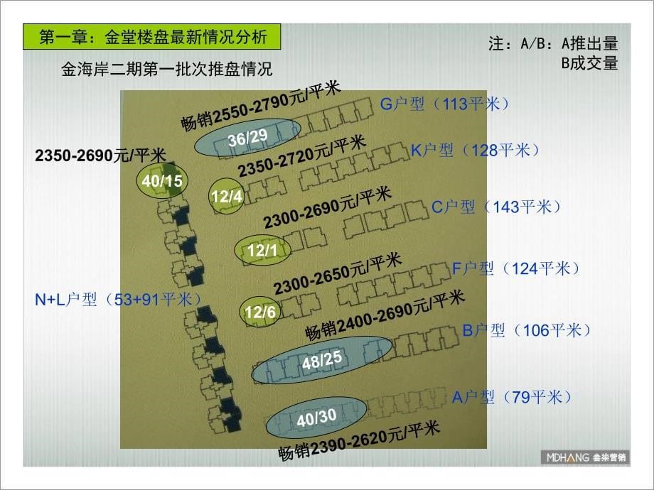 成都金堂县水城印象开盘前营销推广提案37PPT_第5页