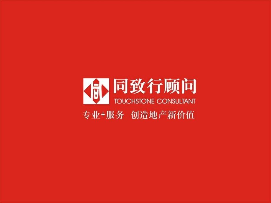 同致行顾问-禹州大学城案例分析_第1页