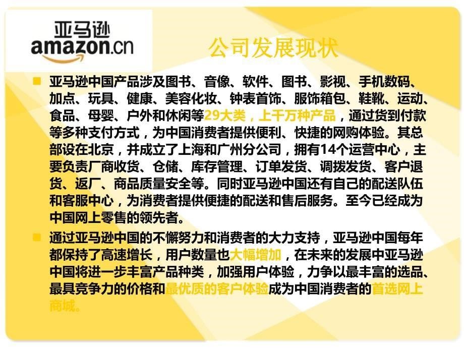 亚马逊中国营销策略分析_第5页