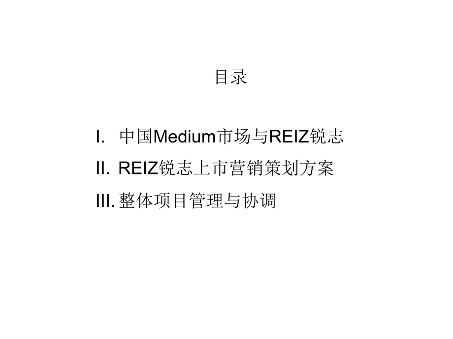 REIZ锐志营销策划活动报告_第2页