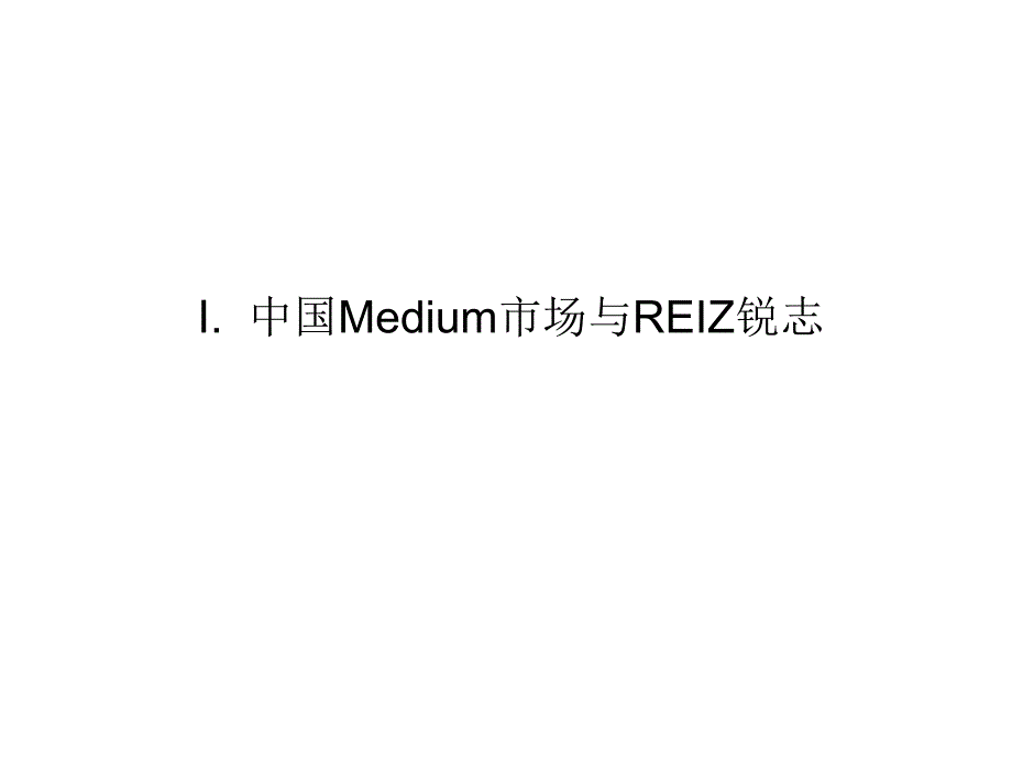 REIZ锐志营销策划活动报告_第3页