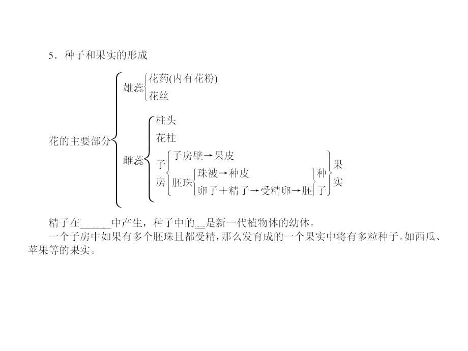 中考生物复习：植物的生殖和发育_第5页