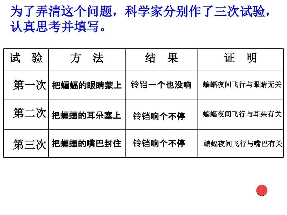 蝙蝠与雷达 课件_第5页