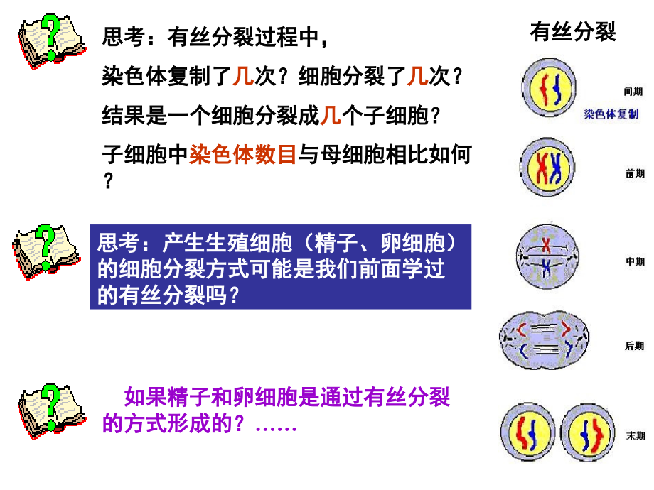 减数分裂---省级示范性高中所用教学课件_第3页